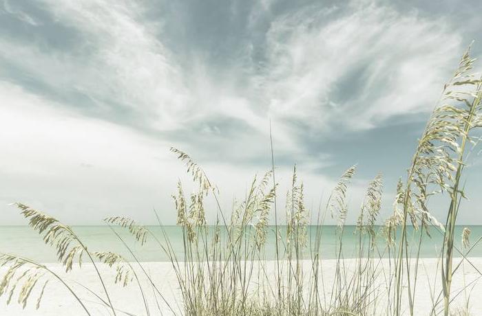 Strandfotografien, Naturaufnahmen