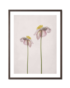 A summer memory - Lotte Gronkjar