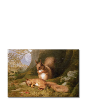 Squirrels in a Wood von Robert Collinson