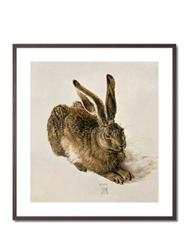 Ein junger Feldhase - Albrecht Dürer