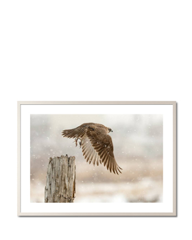 Flight against the snowstorm - OSAMU ASAMI