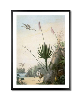 Palm / after J.B.Debret - Artist Artist