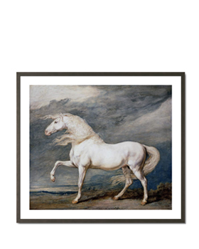 White Stallion - James Ward