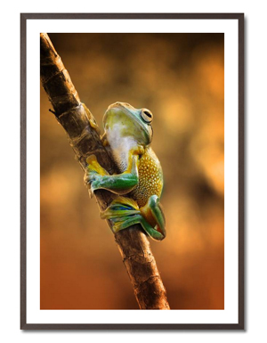 Kinderzimmer mit Tierbild:climb - Ridha