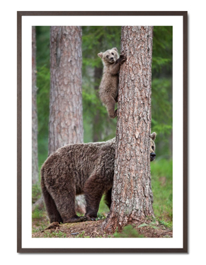 Kinderzimmer Deko: Sei vorsichtig ! - Alessandro Catta