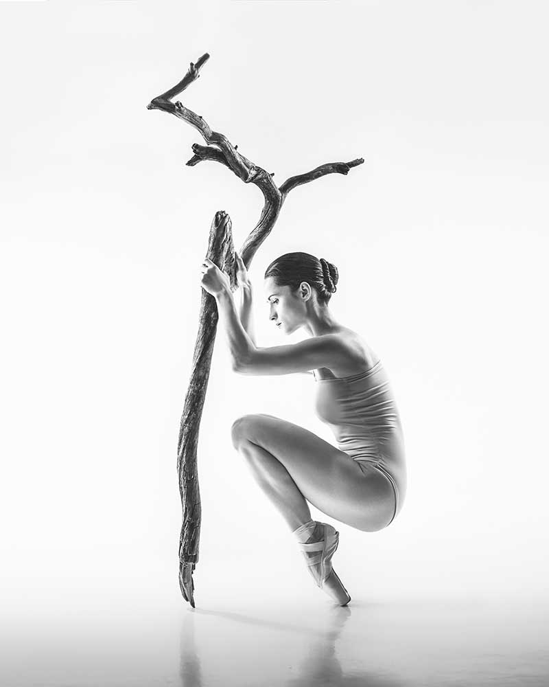 Baum von Unbekannter Fotograf (1X)