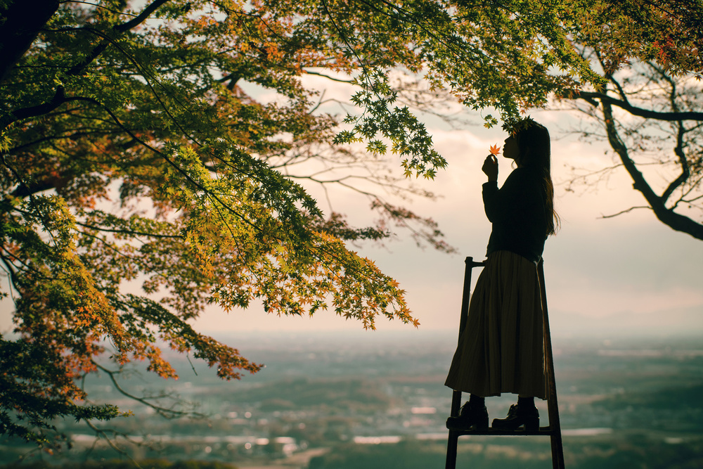 Autumn Leaves von 7 Flavor C/P