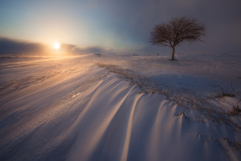 traces of the wind von 850051077