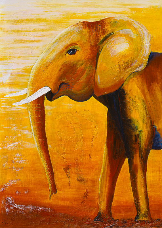 Orangefant von Arthelga