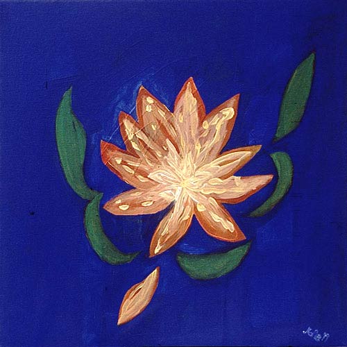 Dilatation of the Heart von Martina Heyd-Jilg