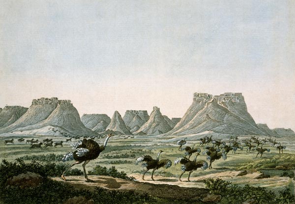 Kap der Guten Hoffnung von Bertuch