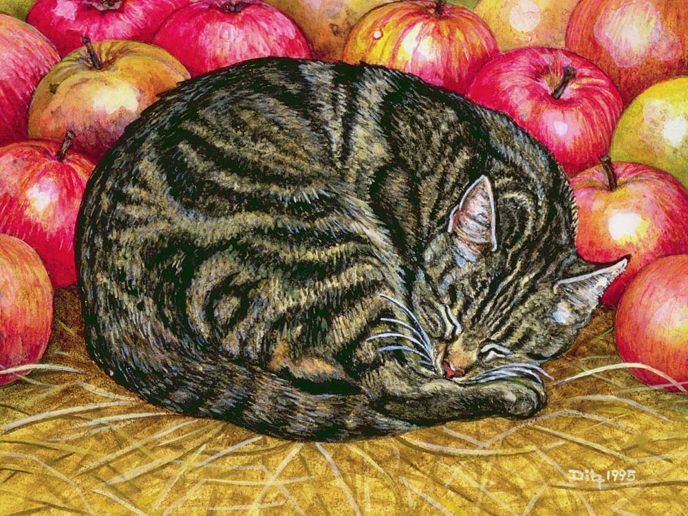 Left-Hand Apple-Cat, 1995 (acrylic on panel)  von Ditz