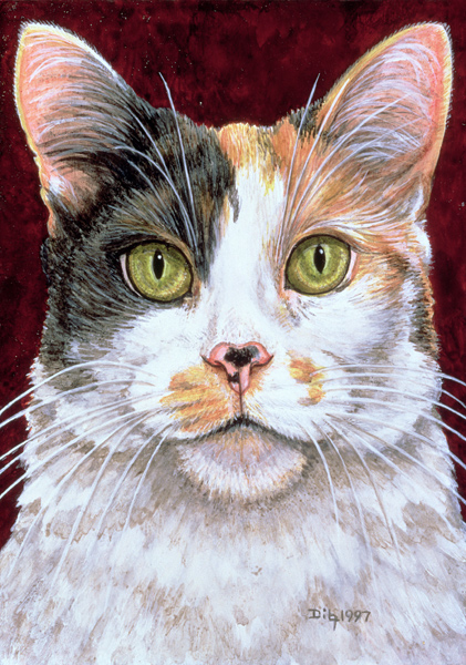 Marigold, 1997 (acrylic on panel)  von Ditz