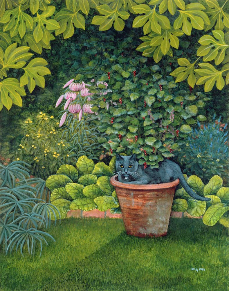 The Flower-Pot Cat von Ditz