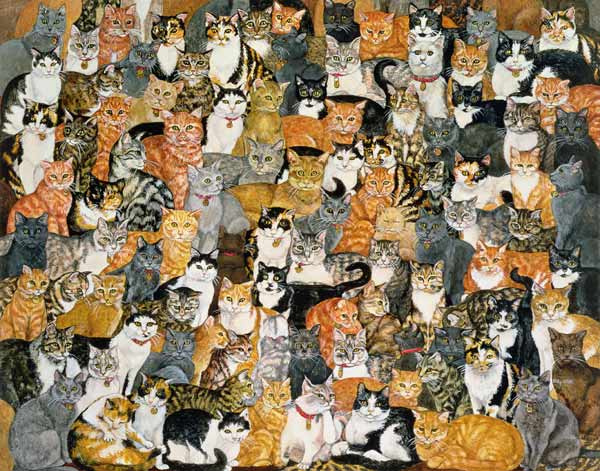 Double Cat-Spread  von Ditz