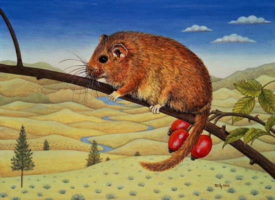 Dormouse Number Two, 1994  von Ditz