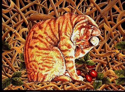 Hips, 1994  von Ditz