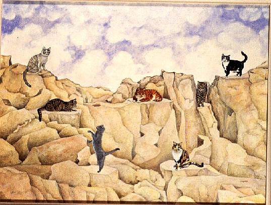 Jersey Rock  von Ditz