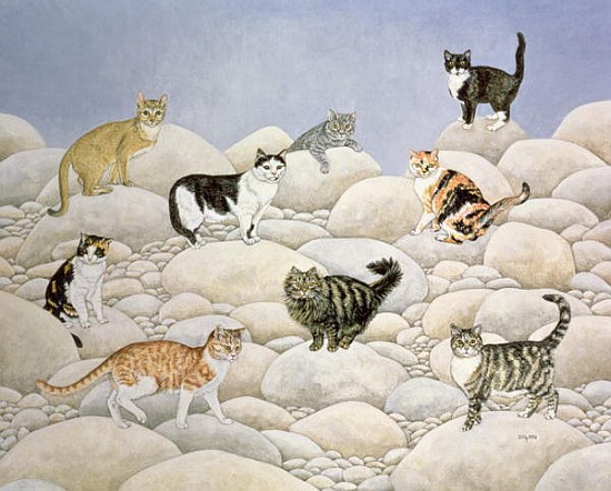 Lynn Valley Cats von Ditz