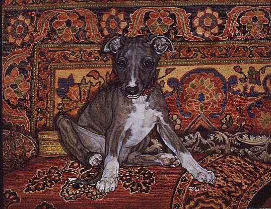 My Whippet Baby, 1994  von Ditz