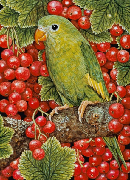 Redcurrant-Parakeet, 1995 (acrylic on panel)  von Ditz