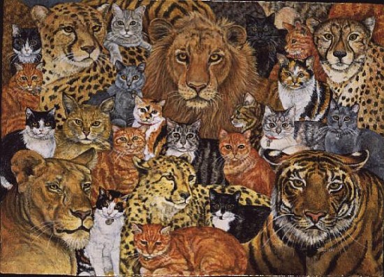 Semi Wild Cat Spread  von Ditz