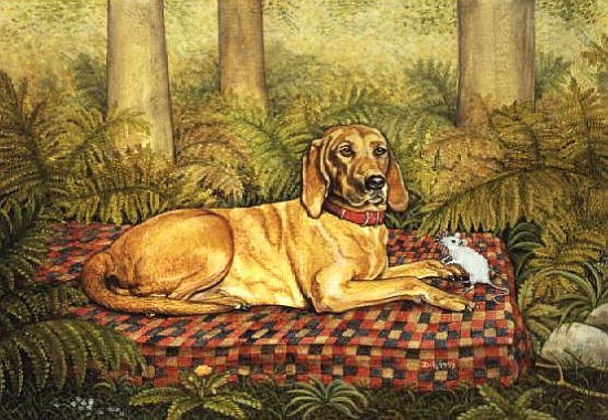 Tad''s Kaw-Liga  von Ditz