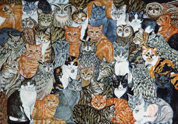 The Owls and the Pussycats  von Ditz