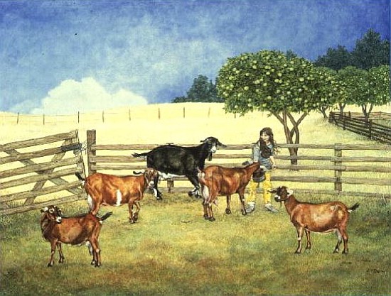 The Black Goat of the Family  von Ditz