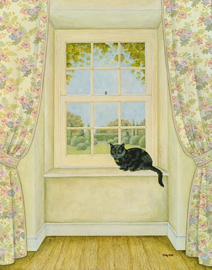 The Window Cat von Ditz