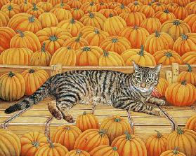 The Pumpkin-Cat, 1995 (acrylic on panel) 