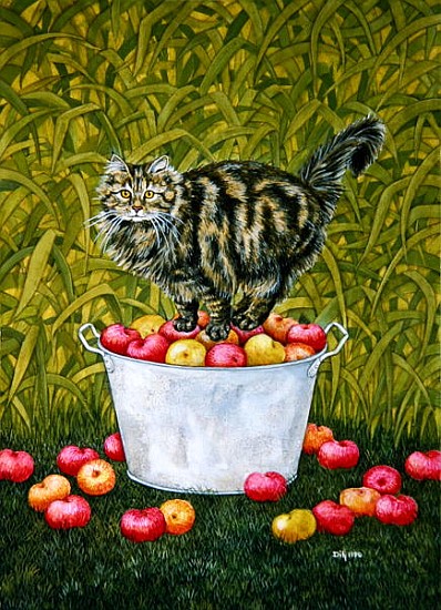 Toby''s Cat  von Ditz