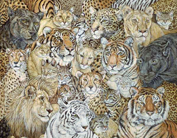 Wild Cat-Spread, 1992  von Ditz