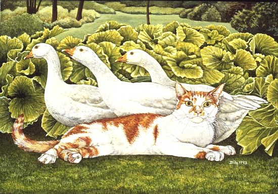 Wimbi''s Thomas  von Ditz