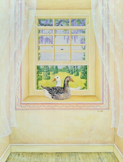 Window Geese von Ditz