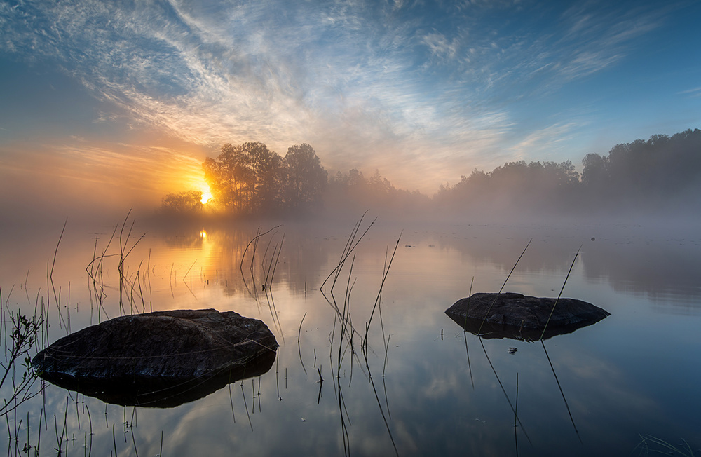 Morning sun von Keller