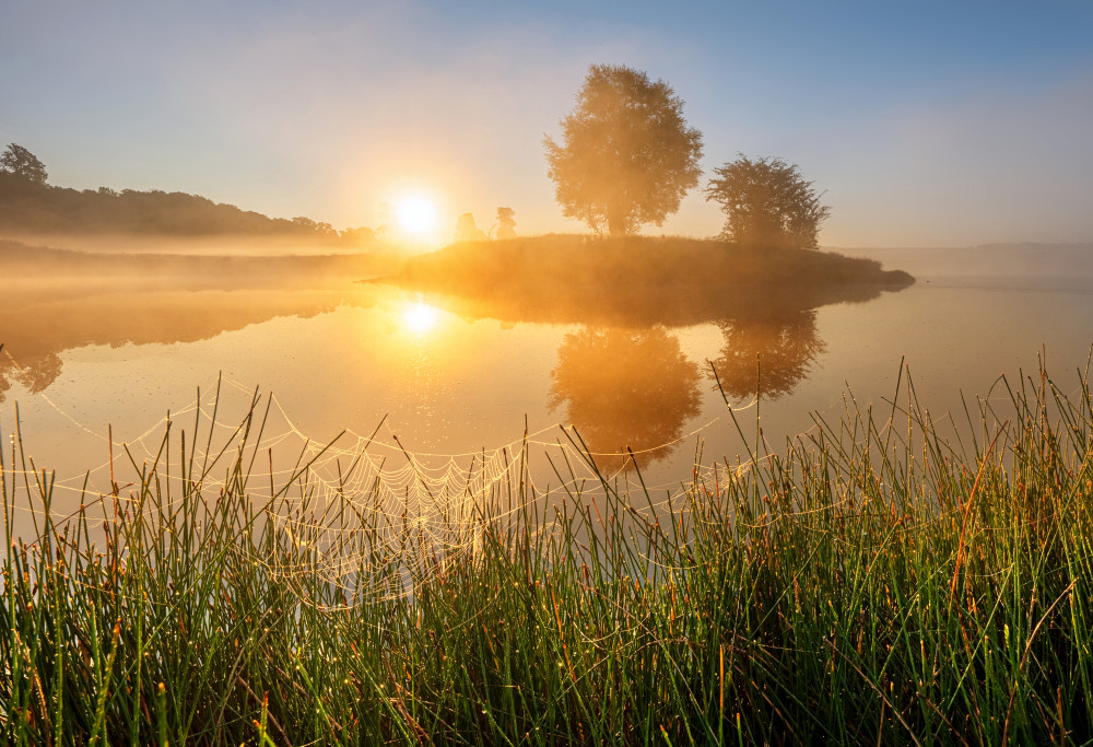 untitledl von Keller