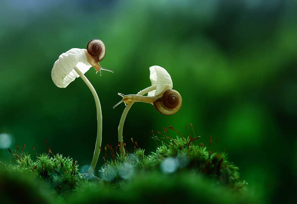 Move On von Abdul Gapur Dayak