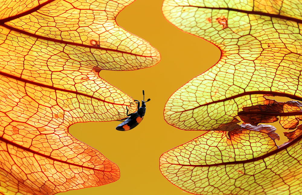 Winding Road von Abdul Gapur Dayak