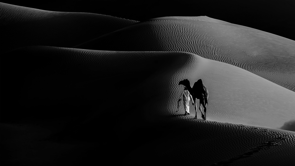 Silk Road von Abdulqader AlAni