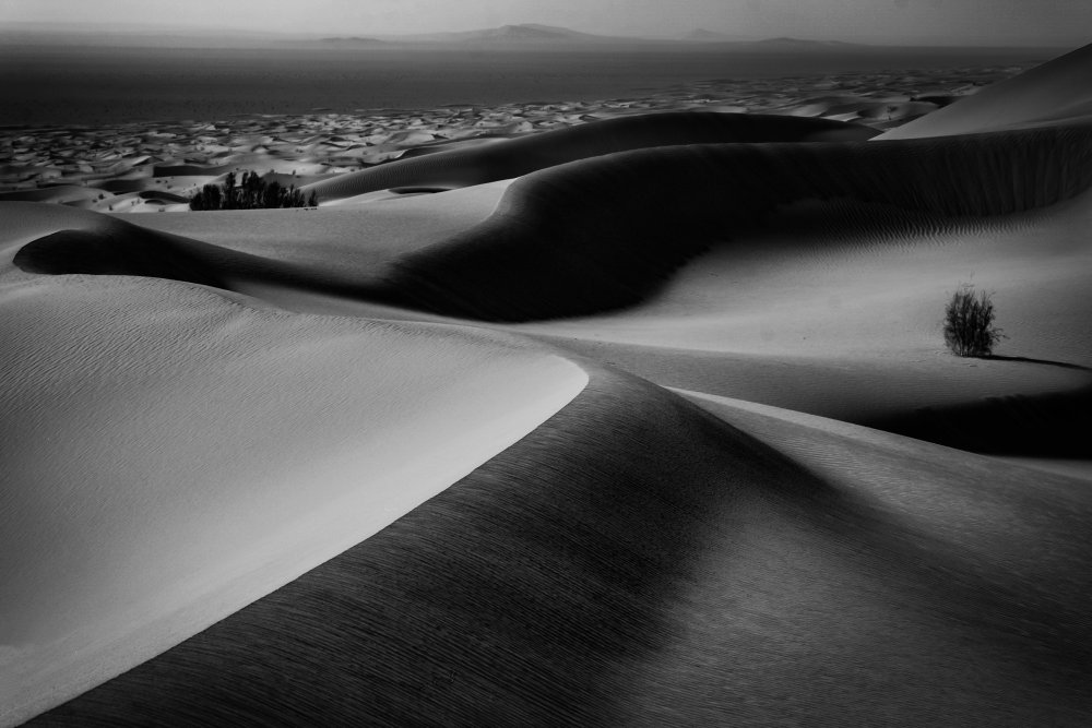 "View" von Abolfazl Arab