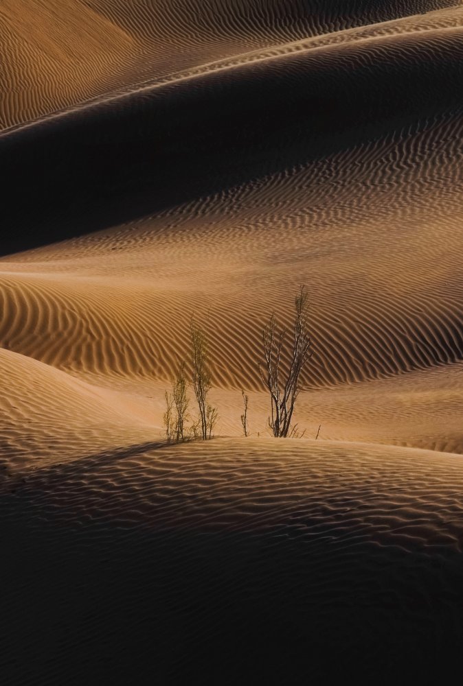 "Shadow And Light" von Abolfazl Arab