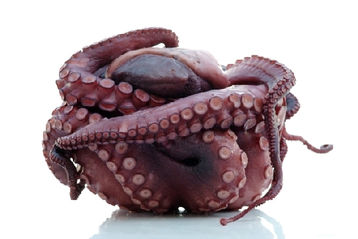 Krake (2) von Stefan  Abtmeyer