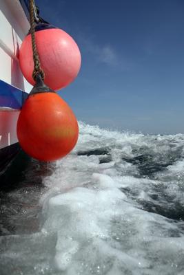 Schaumkrone von Achim Schünemann