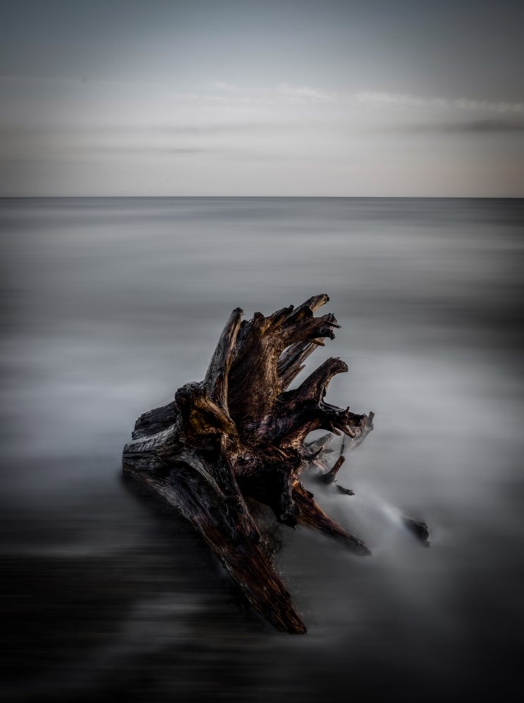 Naufrago von Adachi Lintaman