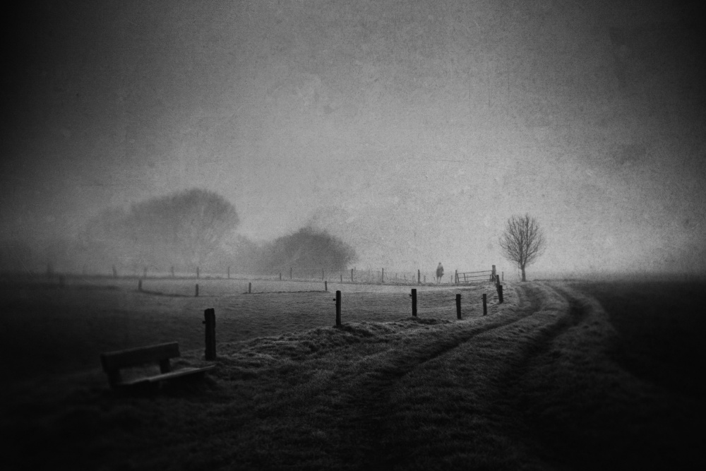 Borrowing Time von Adam Dauria ☂