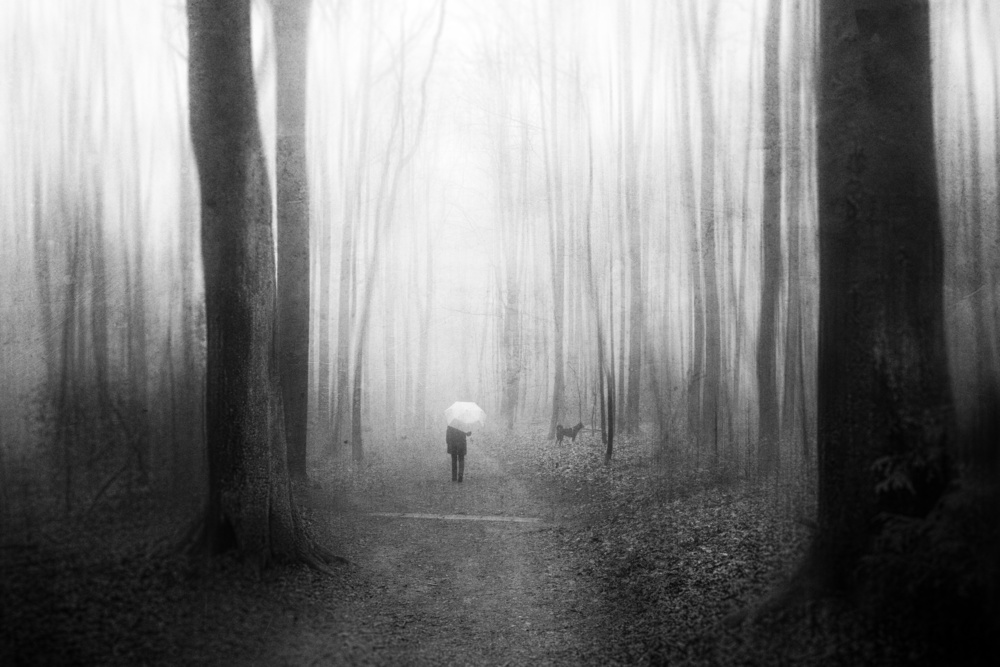 A Walk Through Yesterday von Adam Dauria ☂