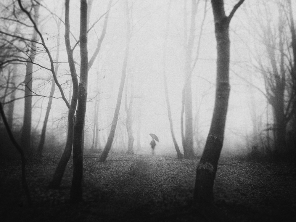 Drawed A Line In The Spiral von Adam Dauria ☂