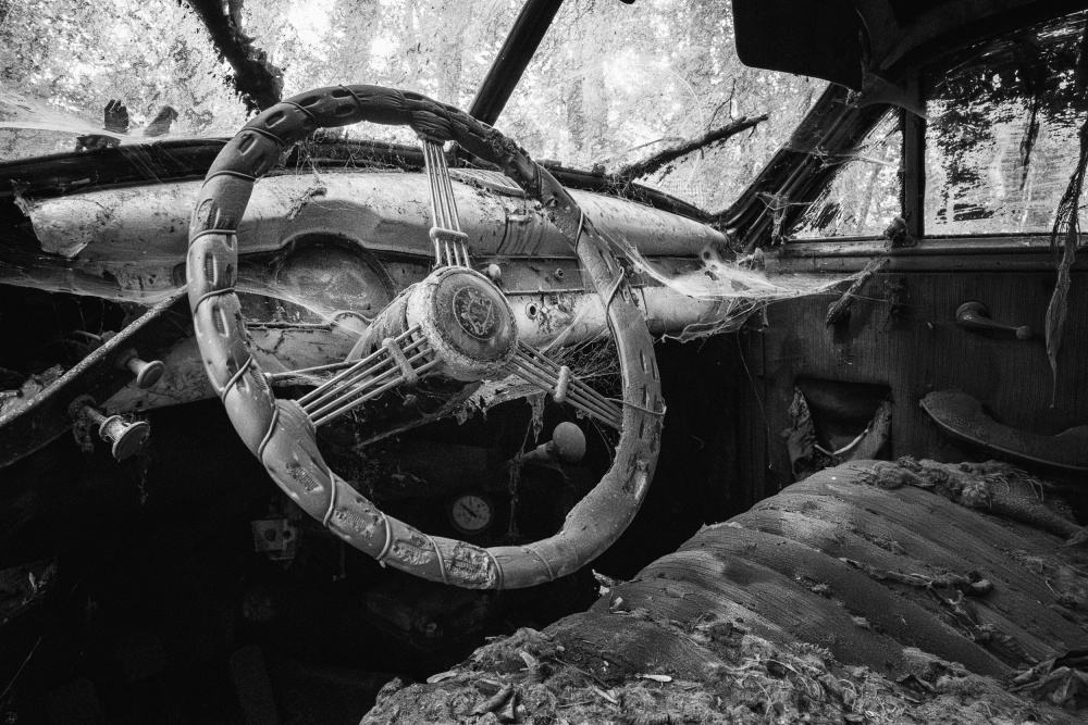 Dead Machines von Adam Dauria ☂