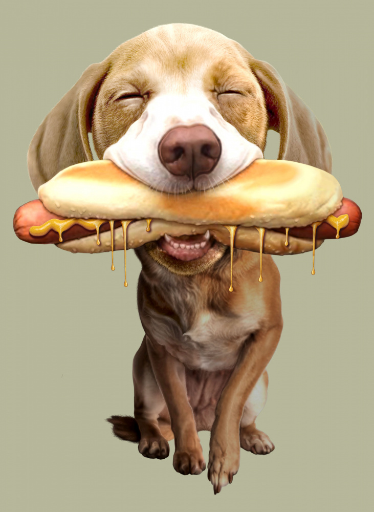 hotdog von Adam Lawless